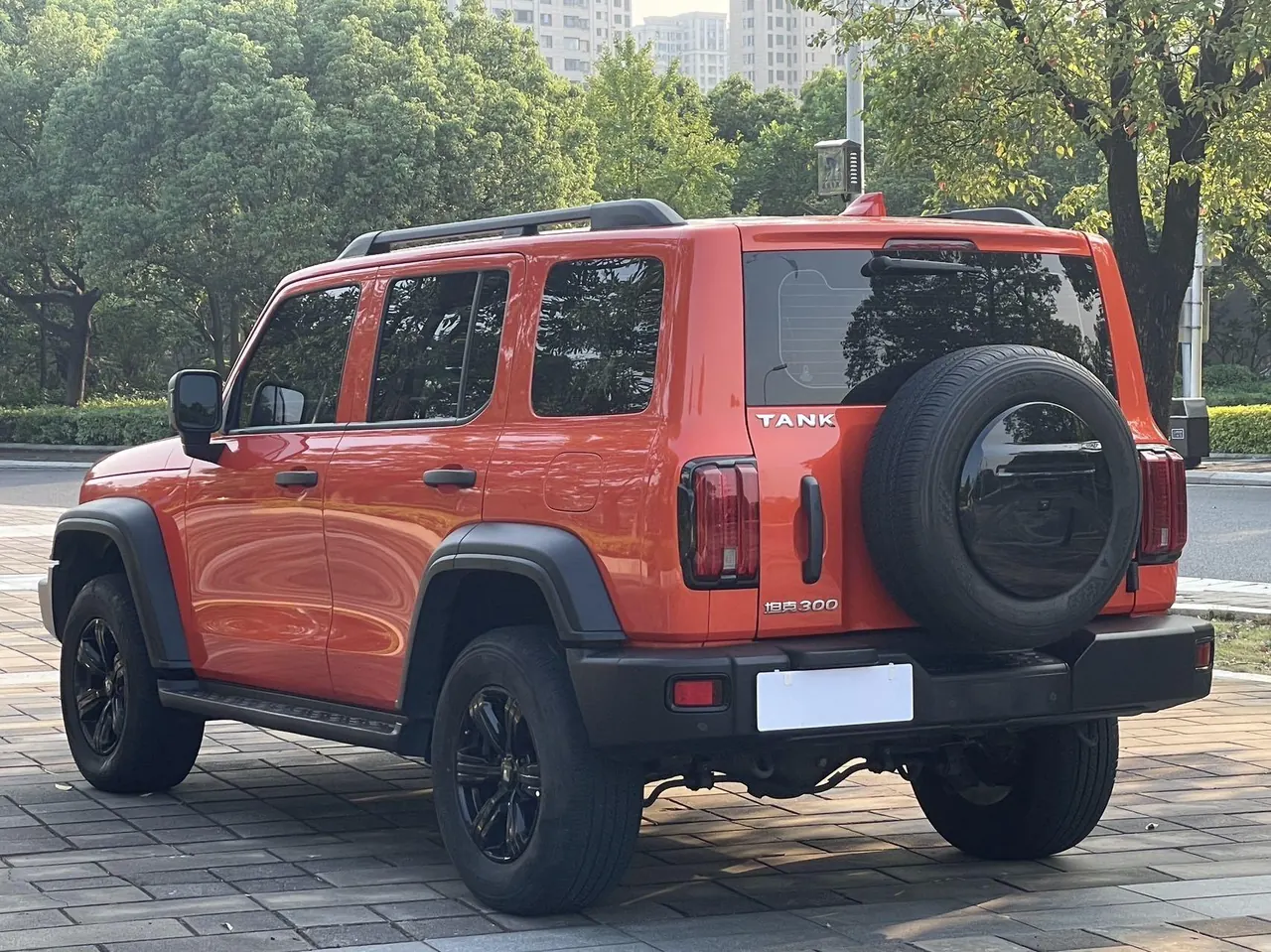 Tank 2021 Tank 300 2.0T Off-road Conqueror Automatic 9