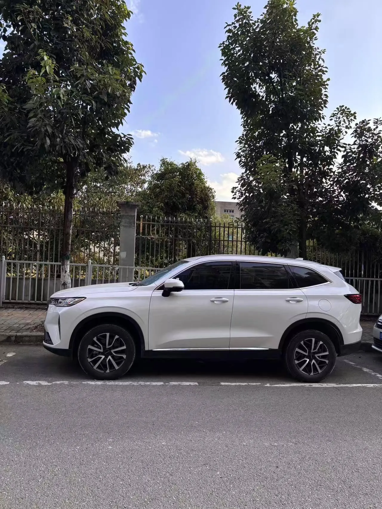 Haval 2024 H6 1.5T Two-Drive Pro Auto 7