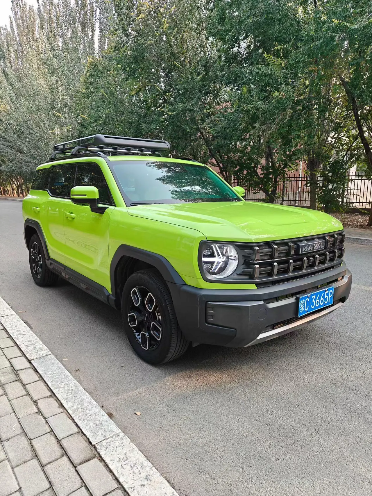 Haval 2022 cool dog 1.5T two-wheel drive cool version of automatic gear 3