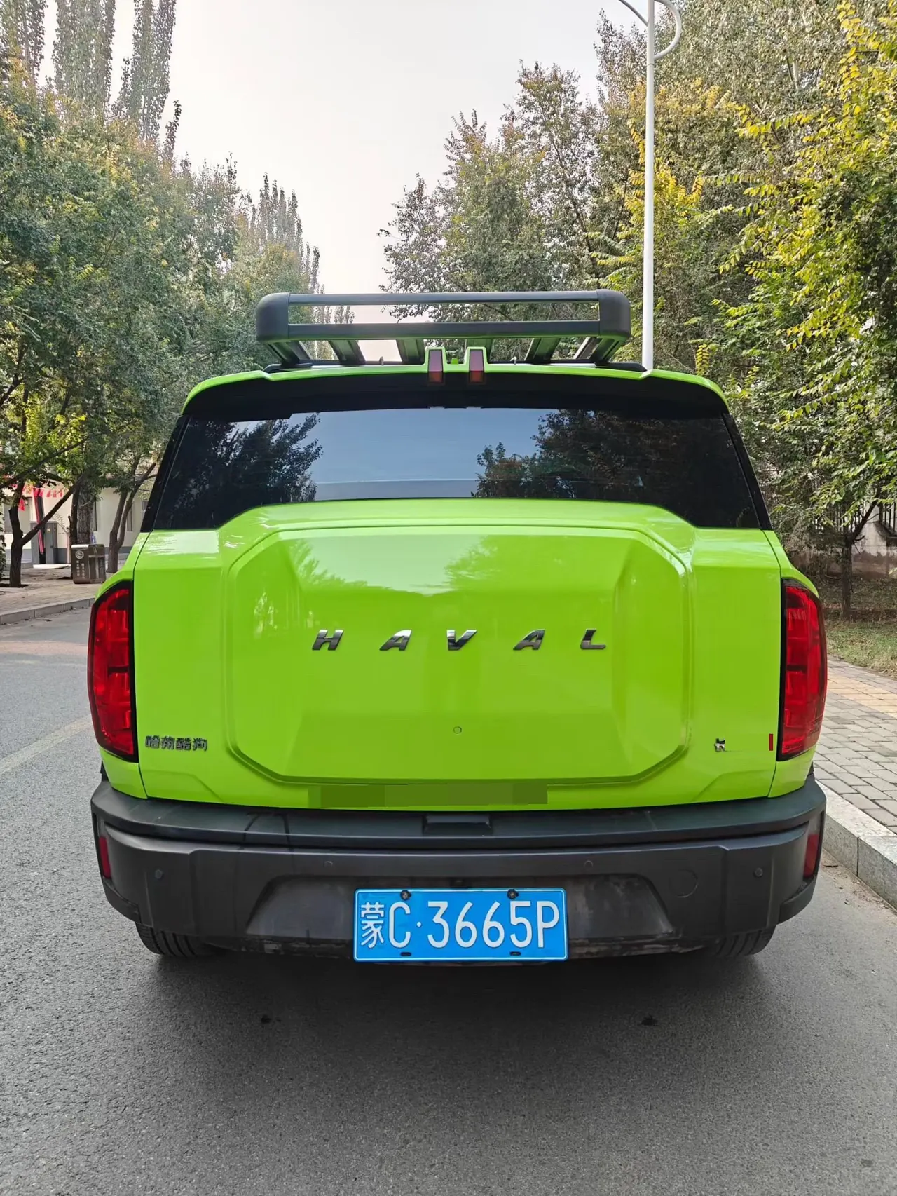 Haval 2022 cool dog 1.5T two-wheel drive cool version of automatic gear 8