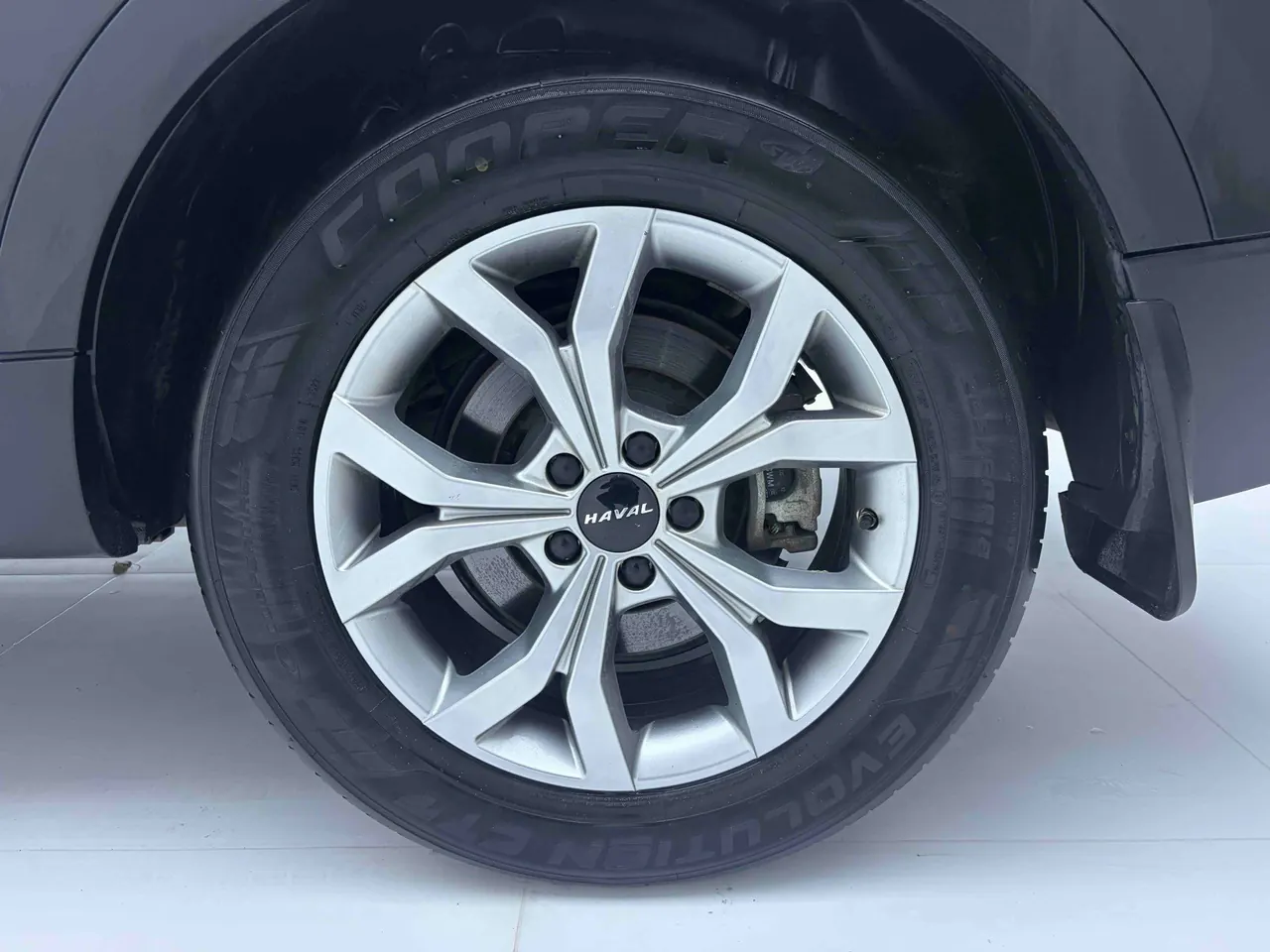 Haval 2021 H6 1.5T National Tide Champion Edition Automatic Gear 11