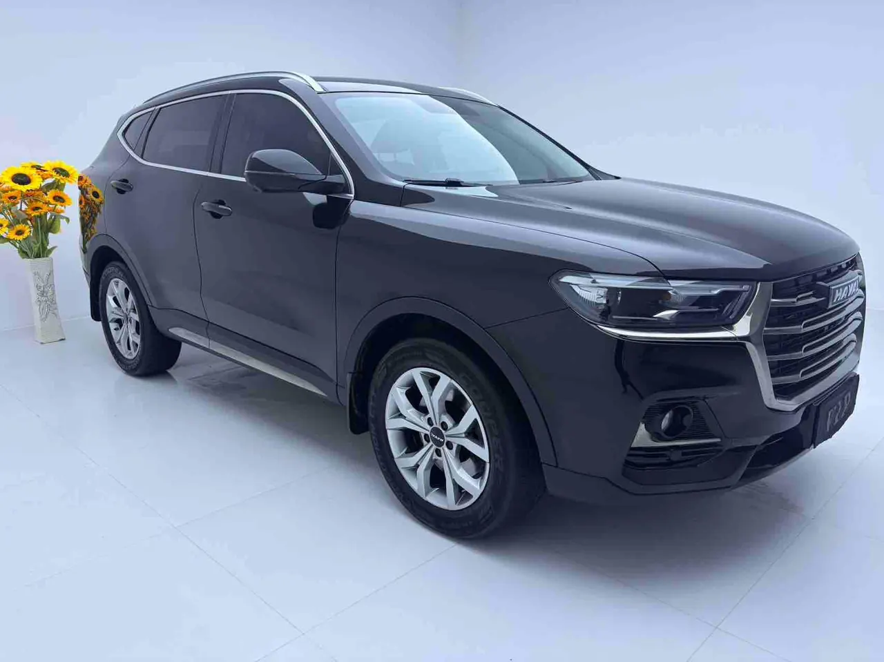 Haval 2021 H6 1.5T National Tide Champion Edition Automatic Gear 3
