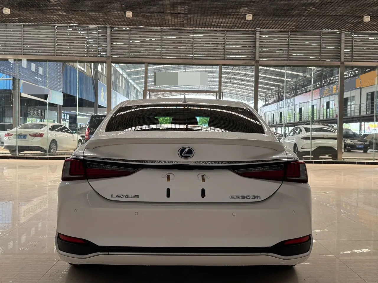 Lexus ES (Imported) 2020 ES300h 2.5 Stepless Excellence Edition Automatic Gear 8