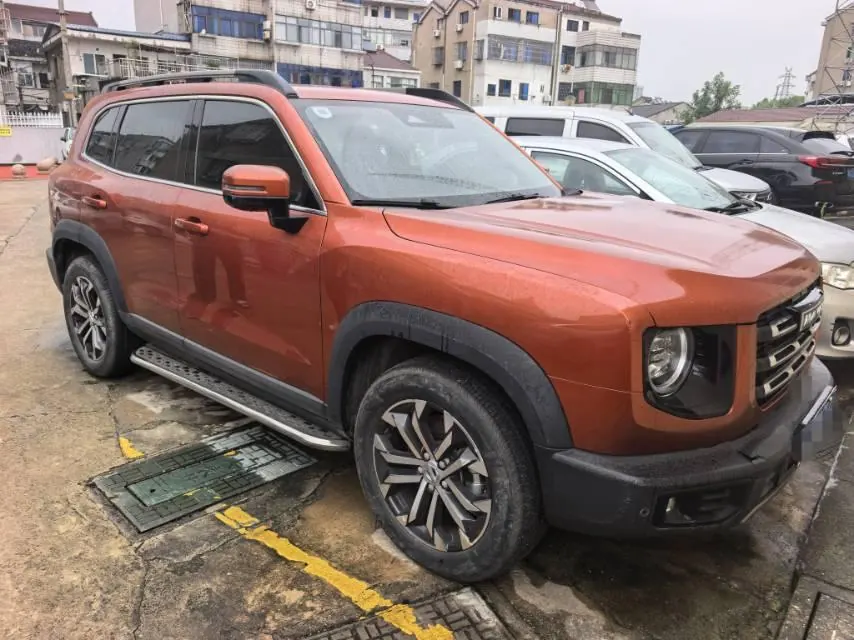 Haval 2021 Big Dogs 1.5T Border Animal Husbandry Wangcai Edition Automatic Gear 2