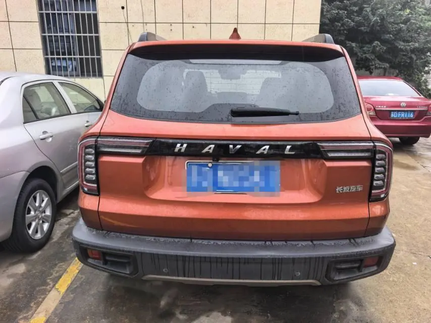 Haval 2021 Big Dogs 1.5T Border Animal Husbandry Wangcai Edition Automatic Gear 3