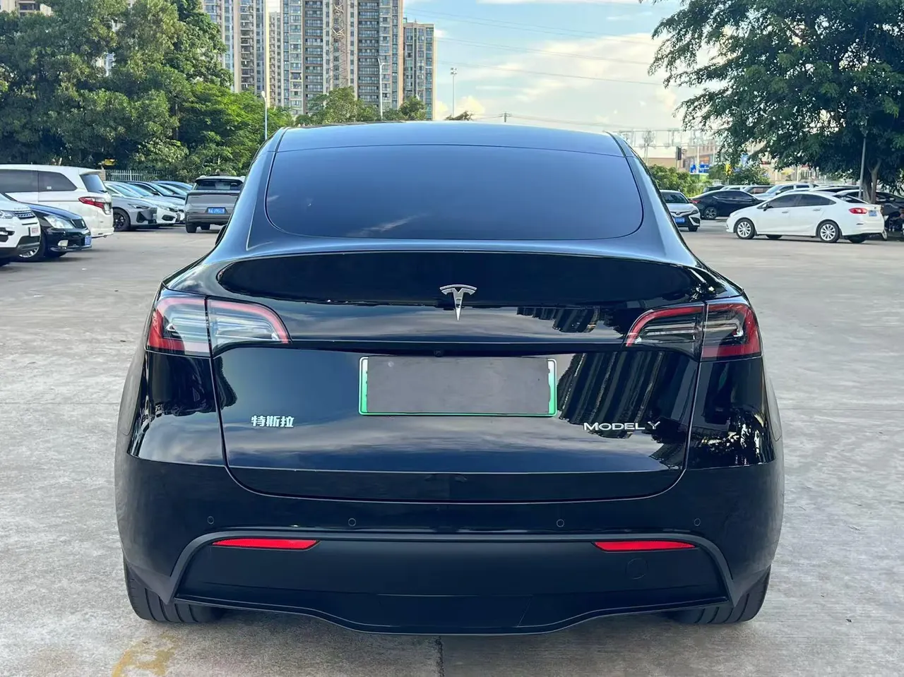 Tesla 2023 Model Y rear-wheel drive version automatic transmission 8