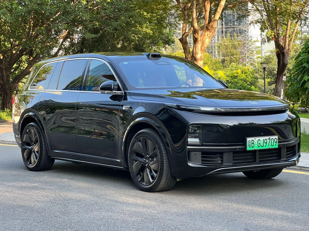 Li 2022 L9 1.5T Max Edition Automatic Gear 3