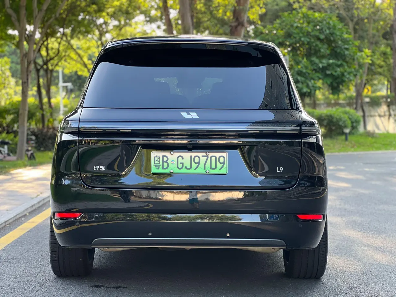 Li 2022 L9 1.5T Max Edition Automatic Gear 5