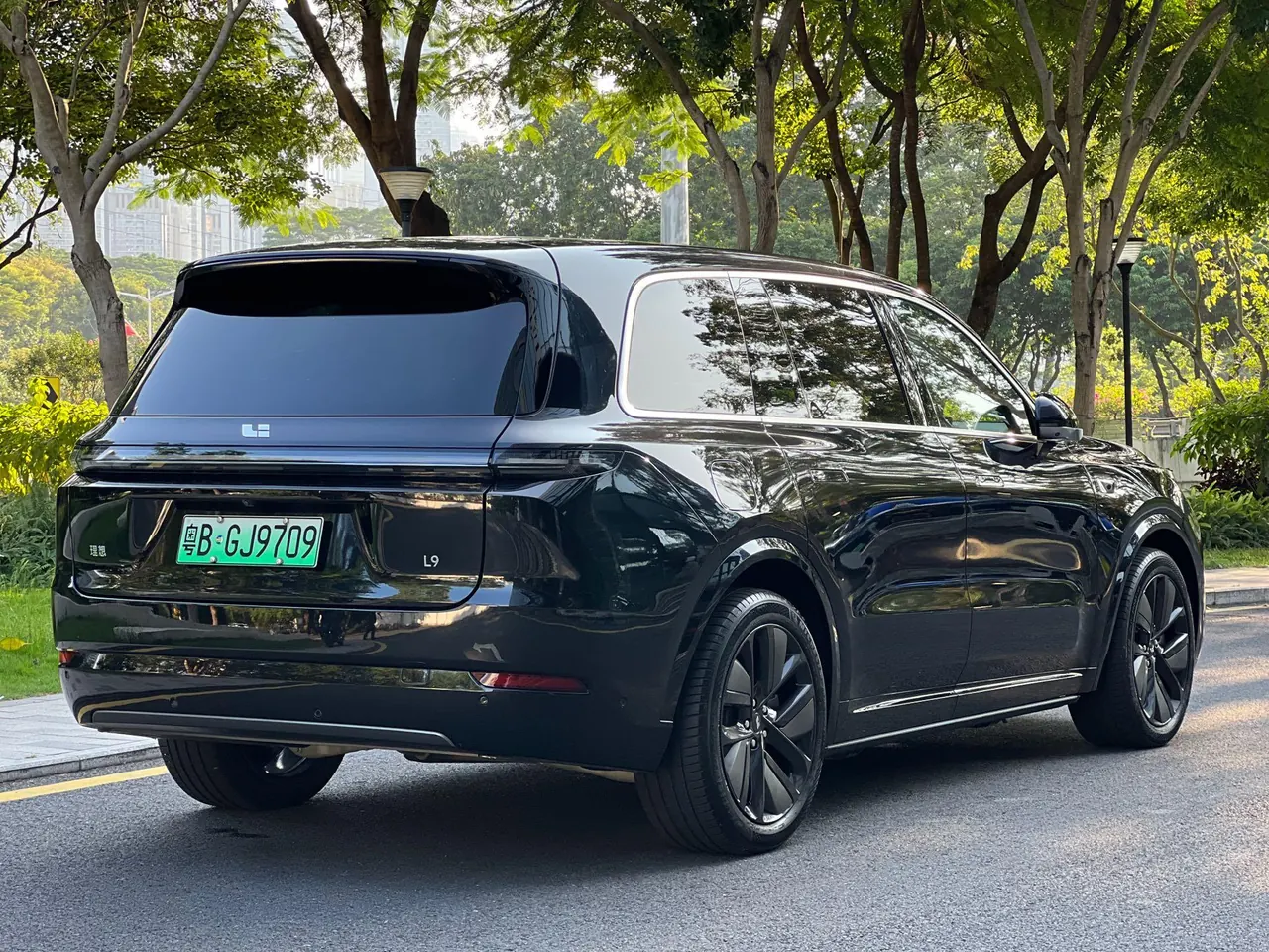 Li 2022 L9 1.5T Max Edition Automatic Gear 6