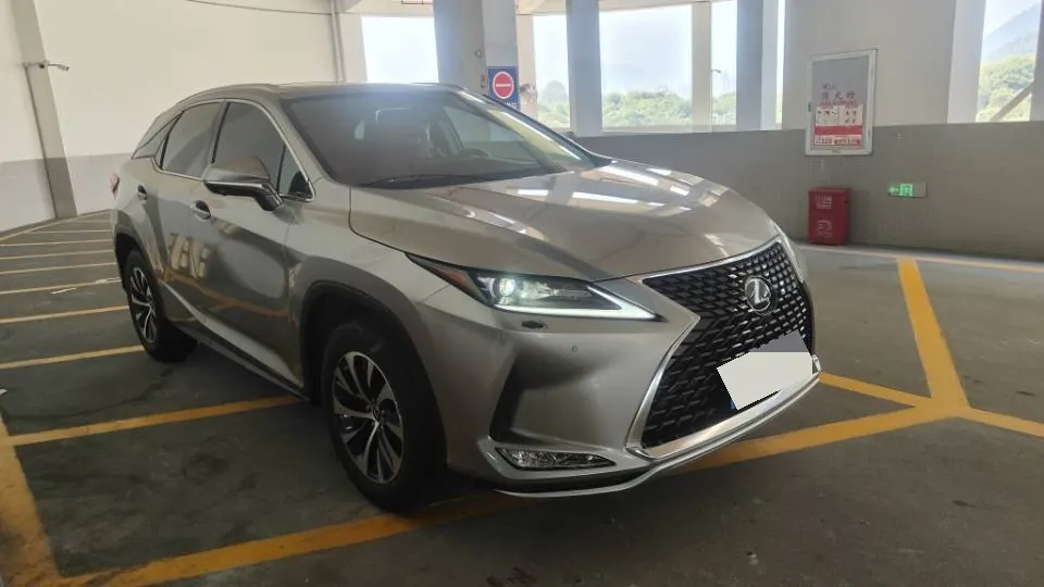 Lexus RX (Imported) 2020 RX300 2.0T Two-Drive Elite Edition (Revised) Automatic Gear 2