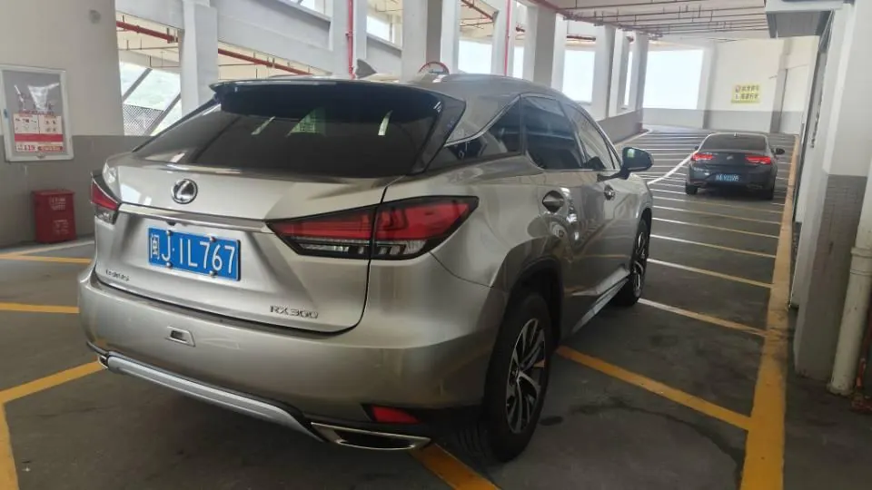 Lexus RX (Imported) 2020 RX300 2.0T Two-Drive Elite Edition (Revised) Automatic Gear 5