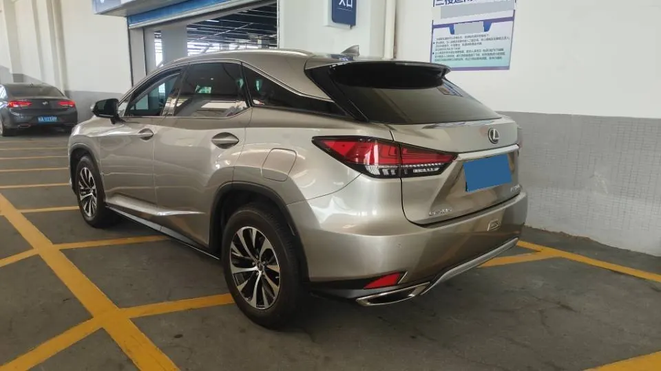 Lexus RX (Imported) 2020 RX300 2.0T Two-Drive Elite Edition (Revised) Automatic Gear 7