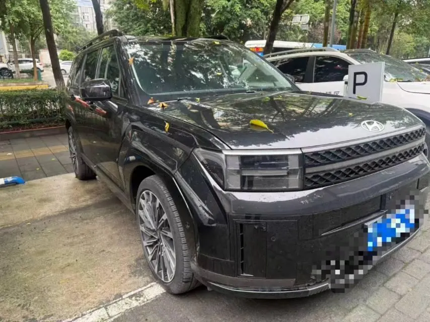 Hyundai 2024 Shengda 2.0T Connoisseur Ultra Automatic 2