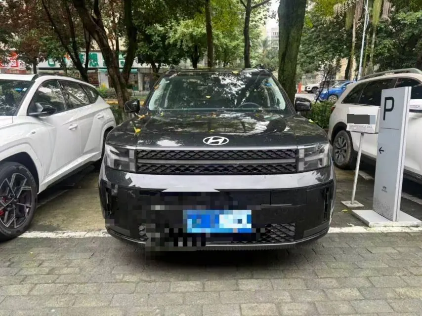 Hyundai 2024 Shengda 2.0T Connoisseur Ultra Automatic 3
