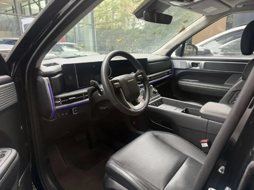 Hyundai 2024 Shengda 2.0T Connoisseur Ultra Automatic 4