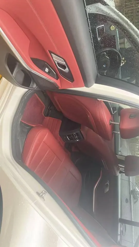 BMW 3 Series 2023 325i 2.0T M Sports Suit Automatic Gear 6