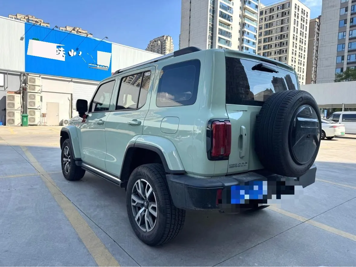 Tank 2024 Tank 300 48V 2.0T Crossing Automatic 5