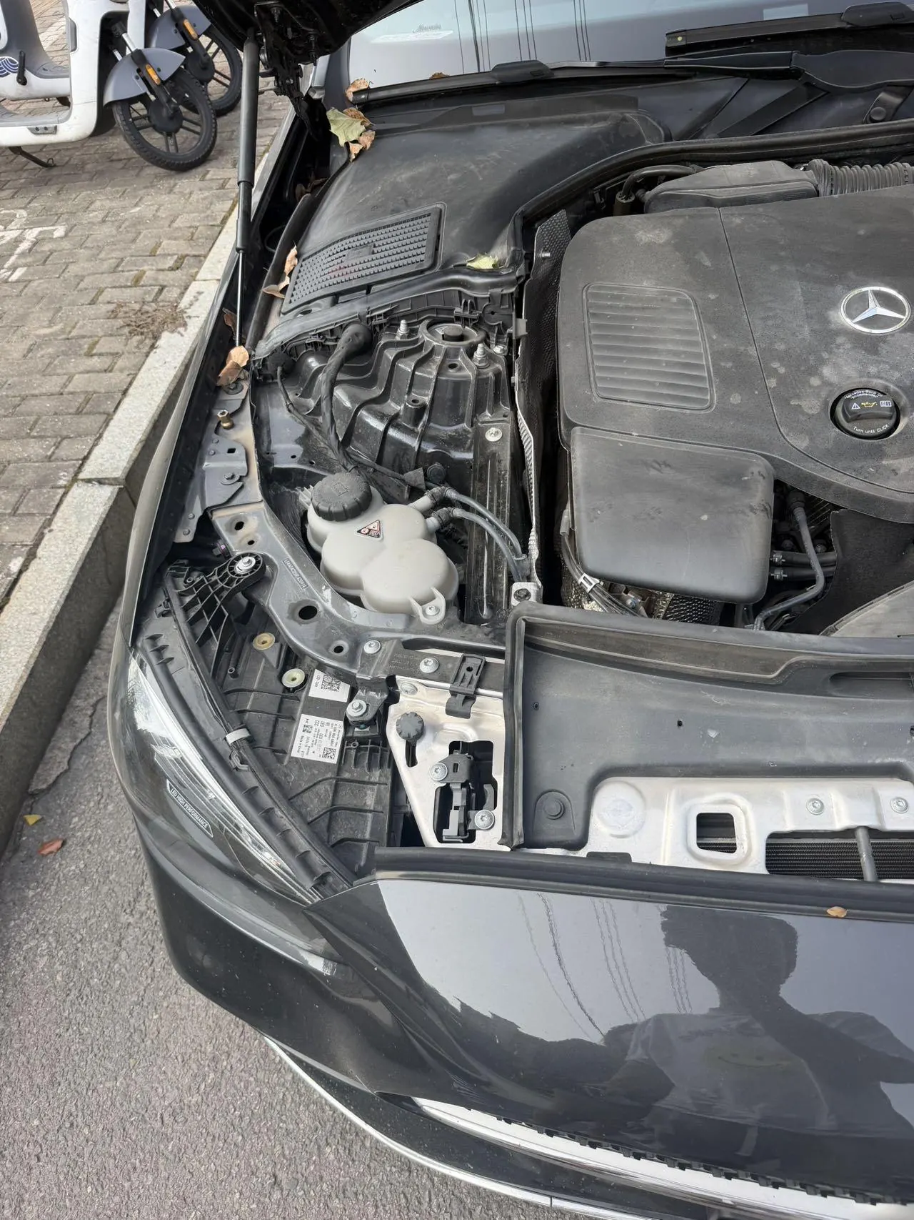 Mercedes Benz Class C 2024 C 260 L 48V 1.5T (Change 3) Automatic 22