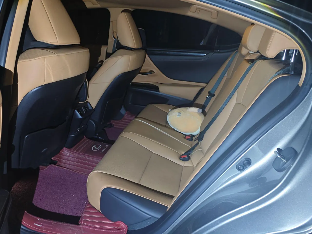 Lexus ES (Imported) 2022 ES200 2.0 Stepless Premium Edition Automatic Gear 5