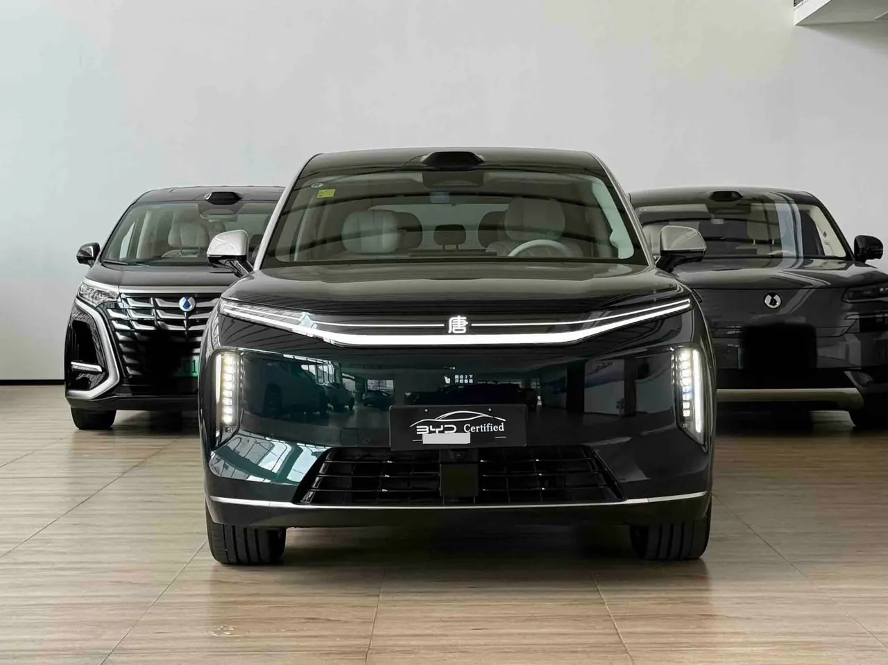 BYD 2026 Datang EV 950KM Rear Drive Laser Radar Flagship Automatic Gear 2