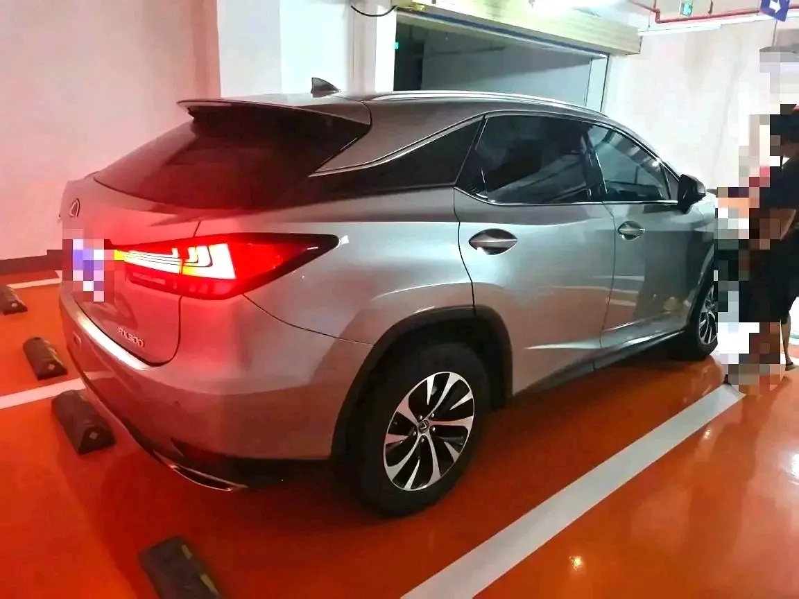 Lexus RX (Imported) 2020 RX300 2.0T Two-Drive Elite Edition (Revised) Automatic Gear 3