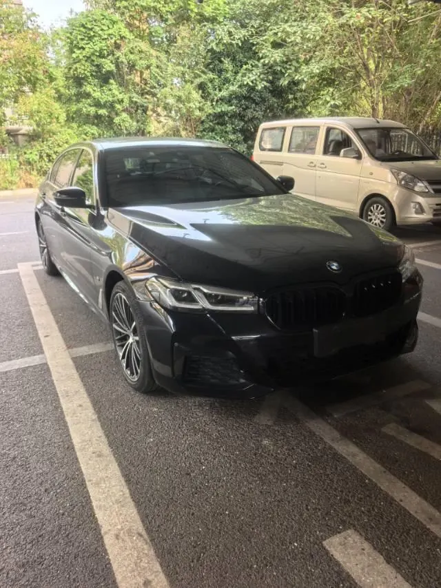 BMW 5 Series 2021 530Li xDrive 2.0T M Sports Suit Automatic Gear 2