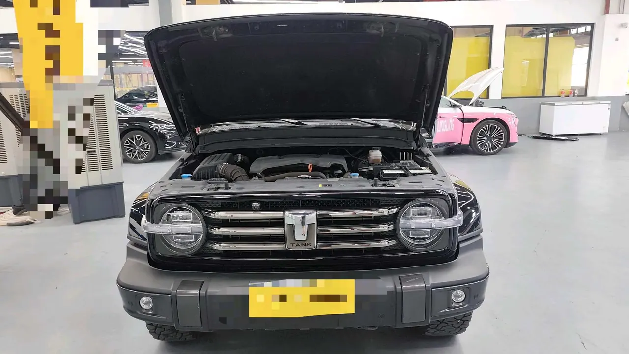 Tank 2021 Tank 300 2.0T City Edition Must-be Automatic 4