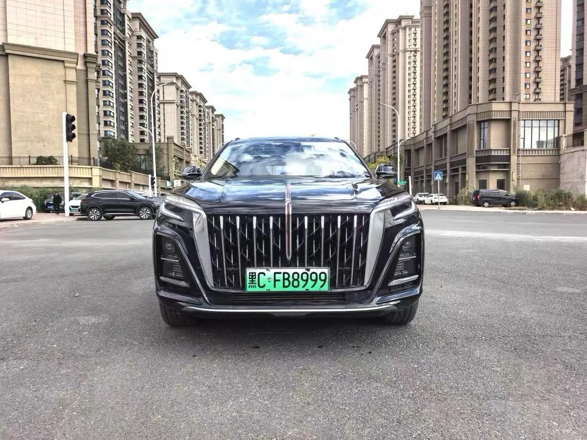 HongQi 2025 HS3 PHEV 1.5T 117km Strong Edition Automatic Gear 2