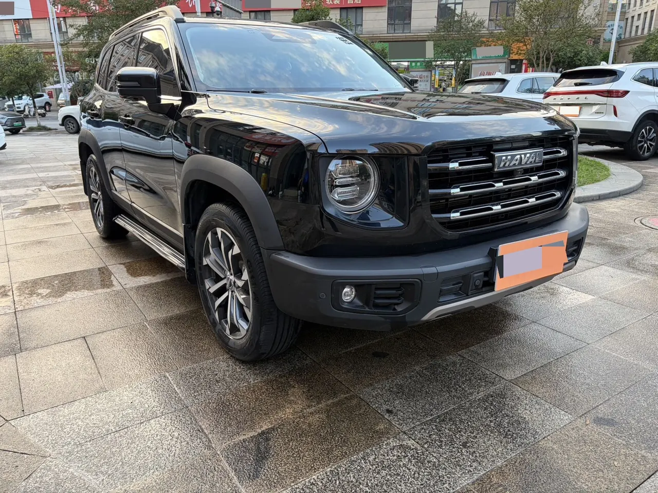 Haval 2022 big dogs 1.5T two-wheel-drive border animal husbandry version automatic gear 2