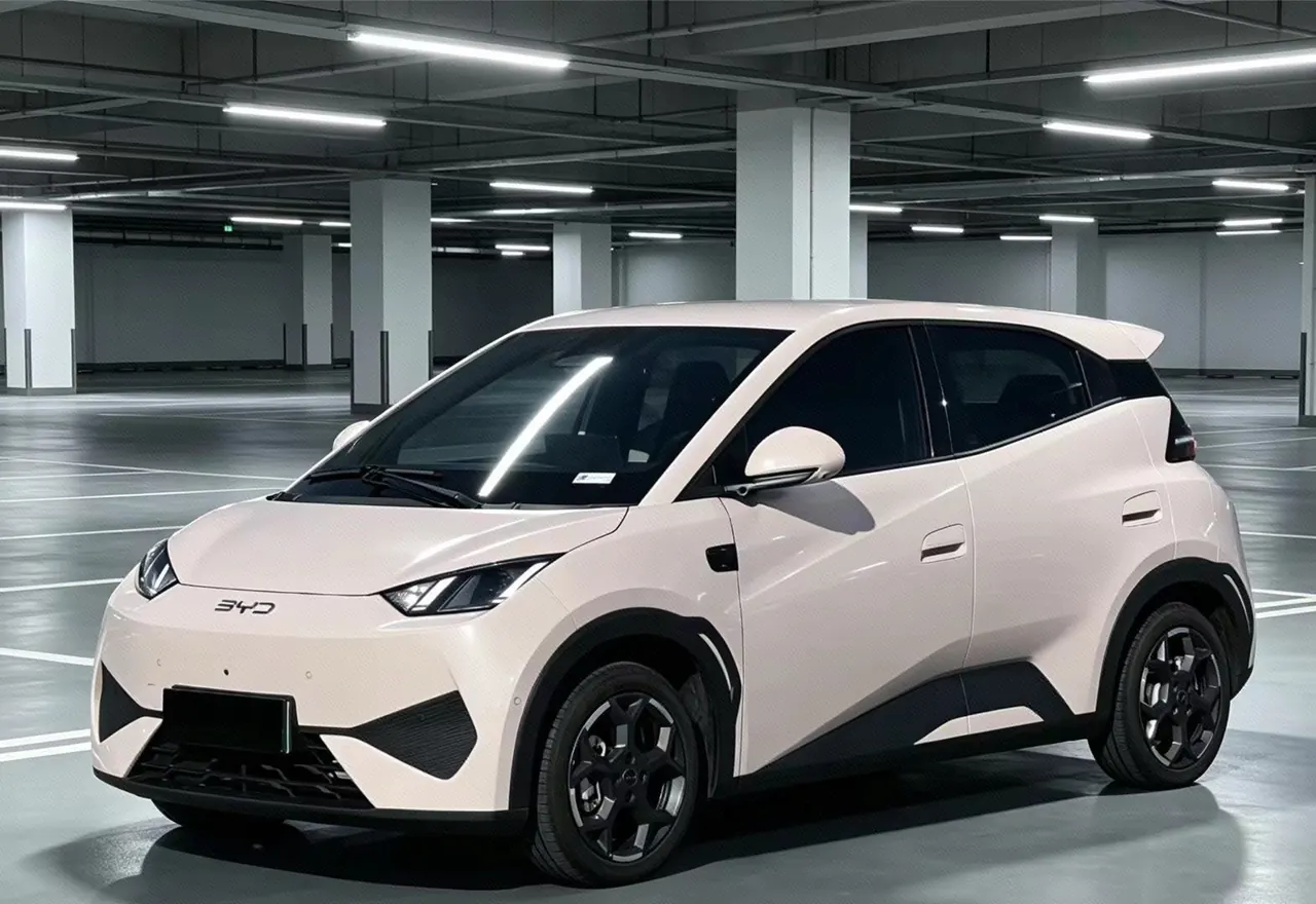Open image lightbox: BYD 2025 Seagull Smart Driving Edition 305km Free Edition Automatic Gear