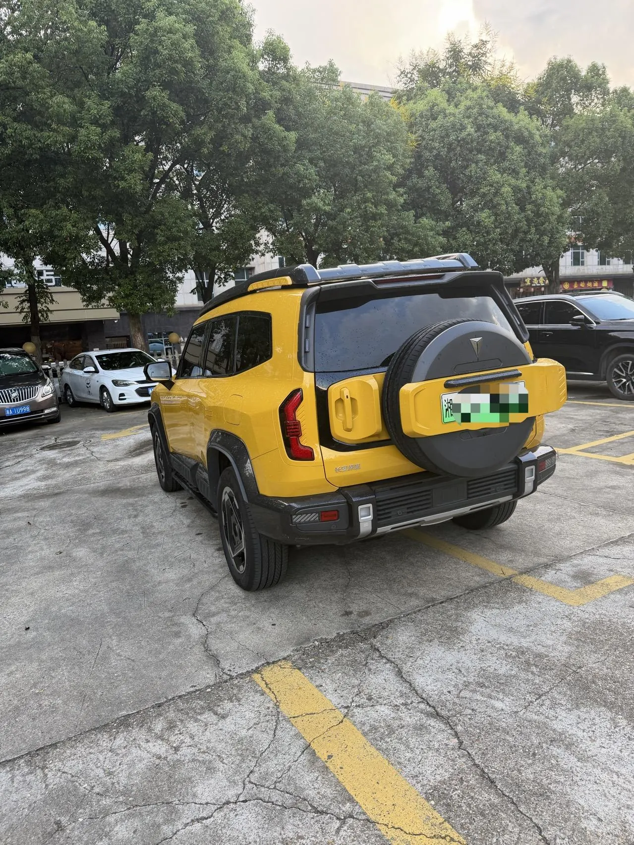 ChangAn Deepal 2025 G318 Worry-Free Crossing Edition Four-wheel Drive Secret Edition Automatic Gear 4