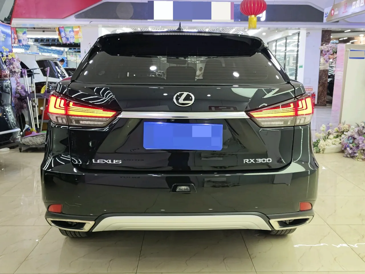 Lexus RX (Imported) 2020 RX300 2.0T Two-Drive Elite Edition (Revised) Automatic Gear 4