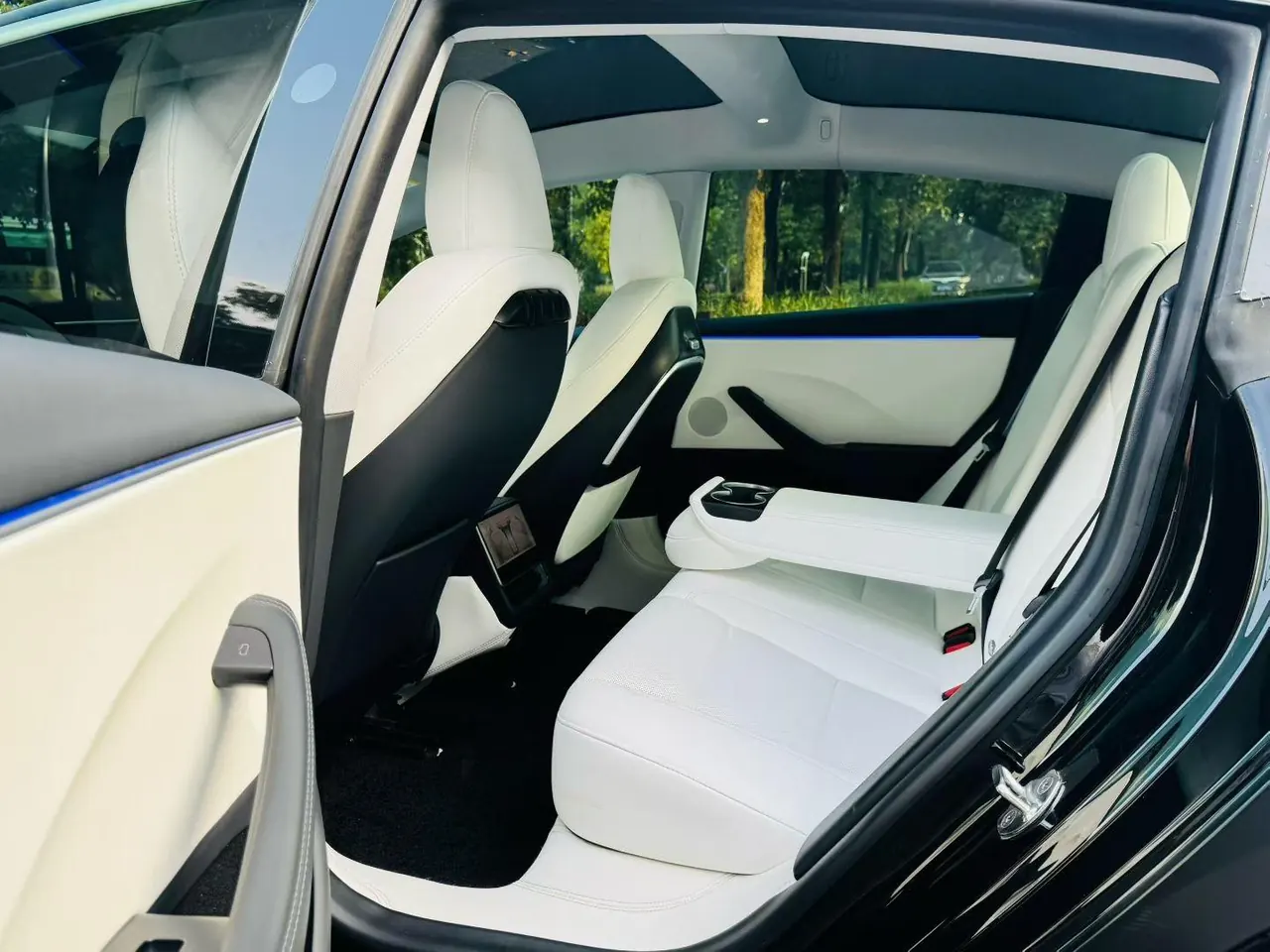 Tesla 2023 Model 3 Rejuvenation Edition Rear Wheel Drive Automatic Transmission 6