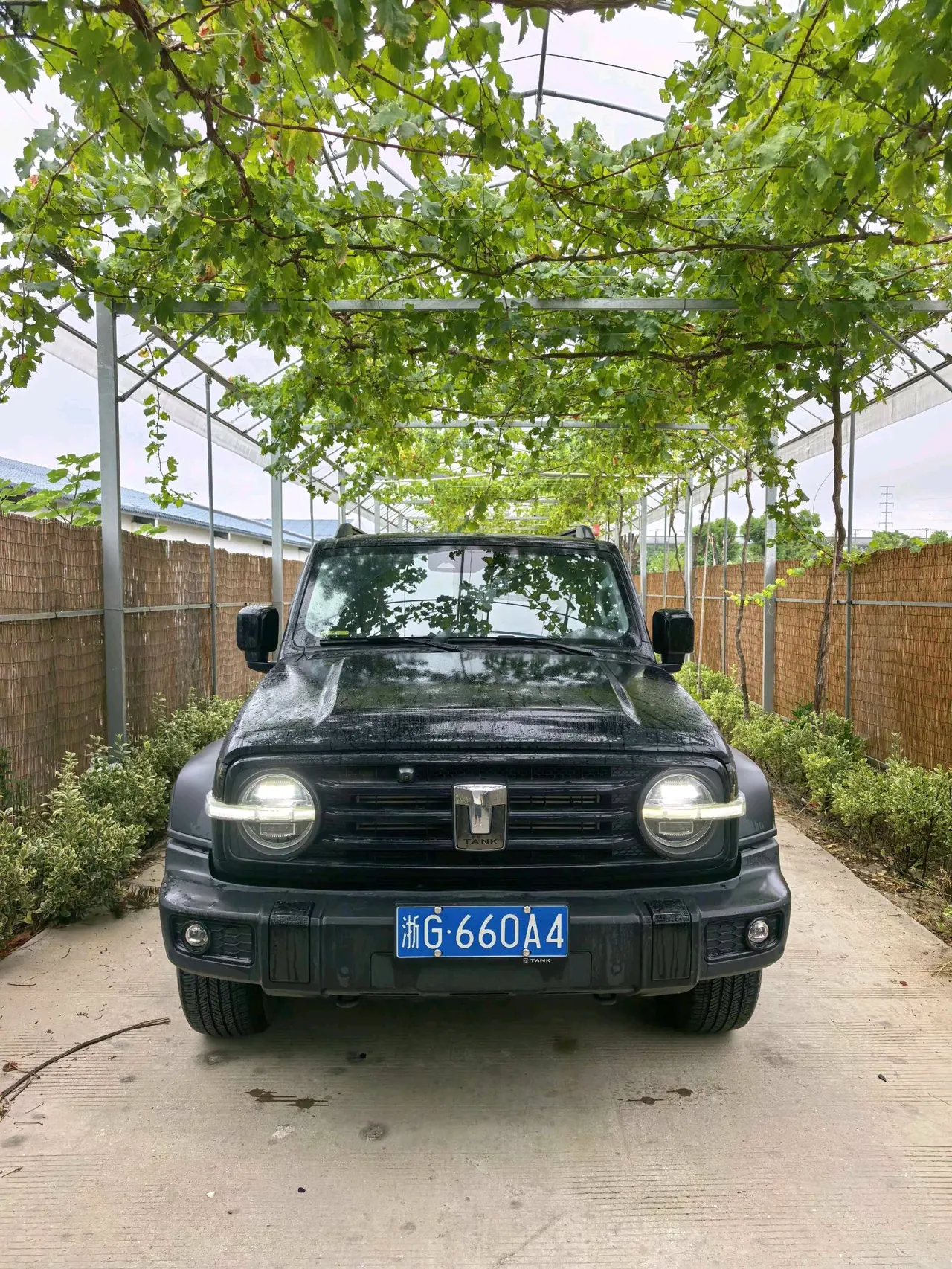 Tank 2021 Tank 300 2.0T Off-road Conqueror Automatic 2
