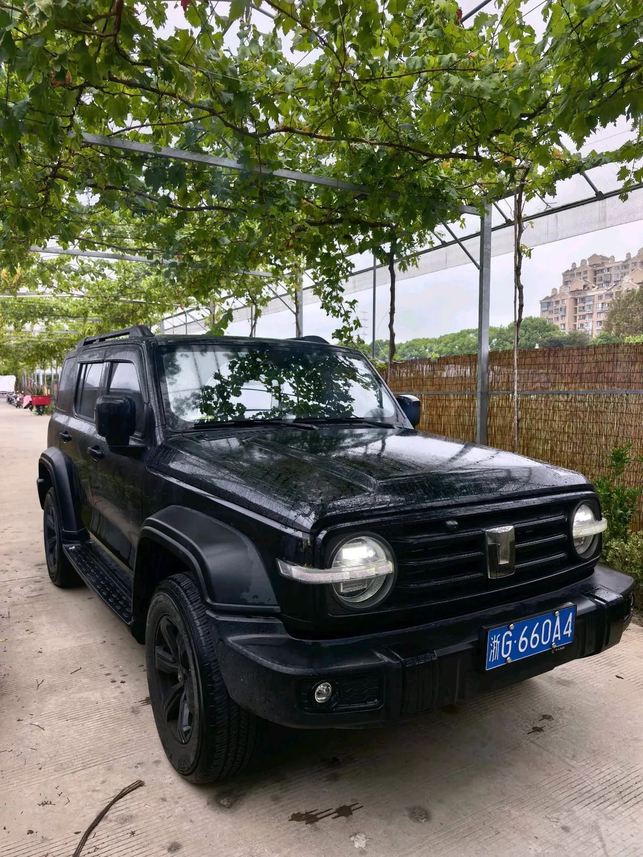 Tank 2021 Tank 300 2.0T Off-road Conqueror Automatic 3