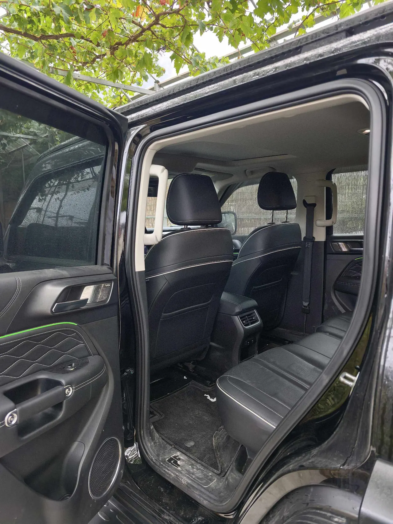 Tank 2021 Tank 300 2.0T Off-road Conqueror Automatic 5
