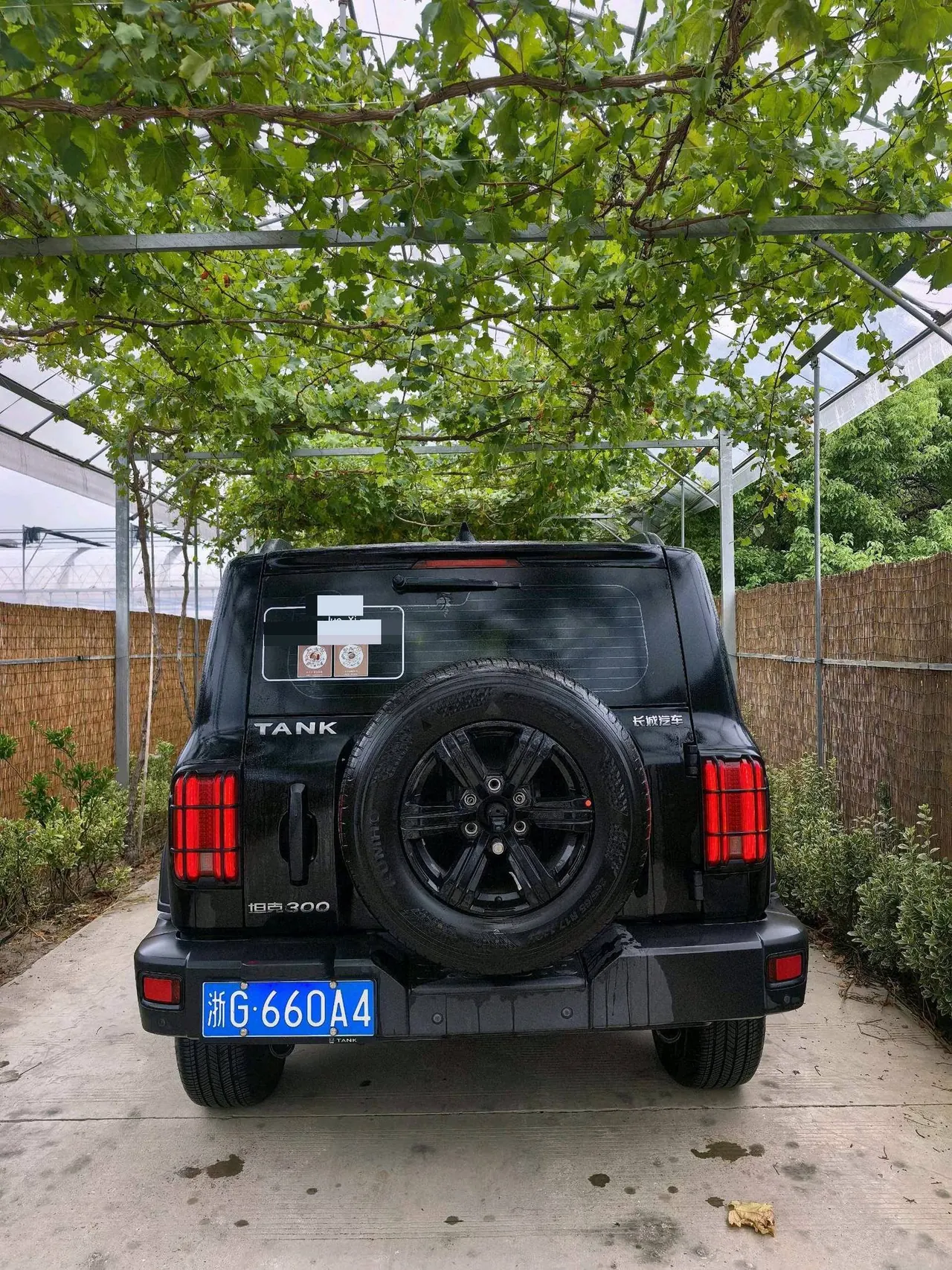 Tank 2021 Tank 300 2.0T Off-road Conqueror Automatic 6