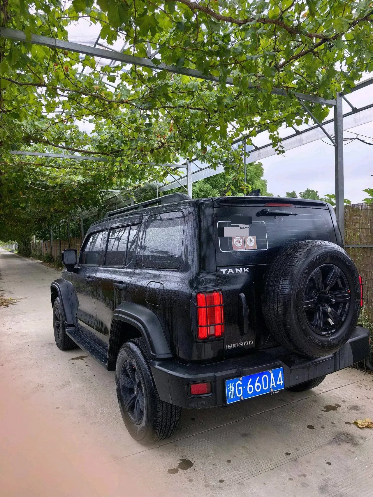 Tank 2021 Tank 300 2.0T Off-road Conqueror Automatic 7
