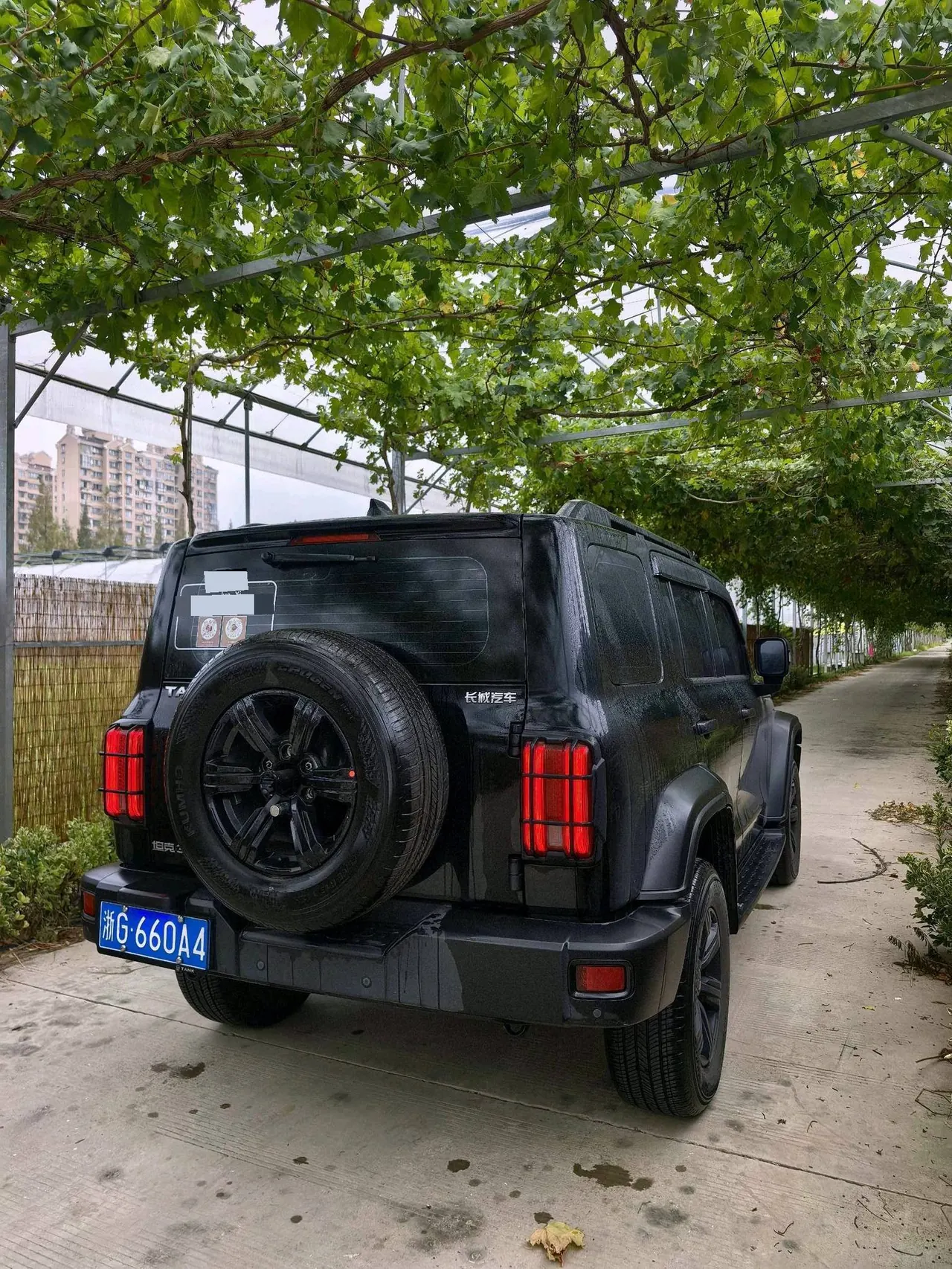 Tank 2021 Tank 300 2.0T Off-road Conqueror Automatic 8