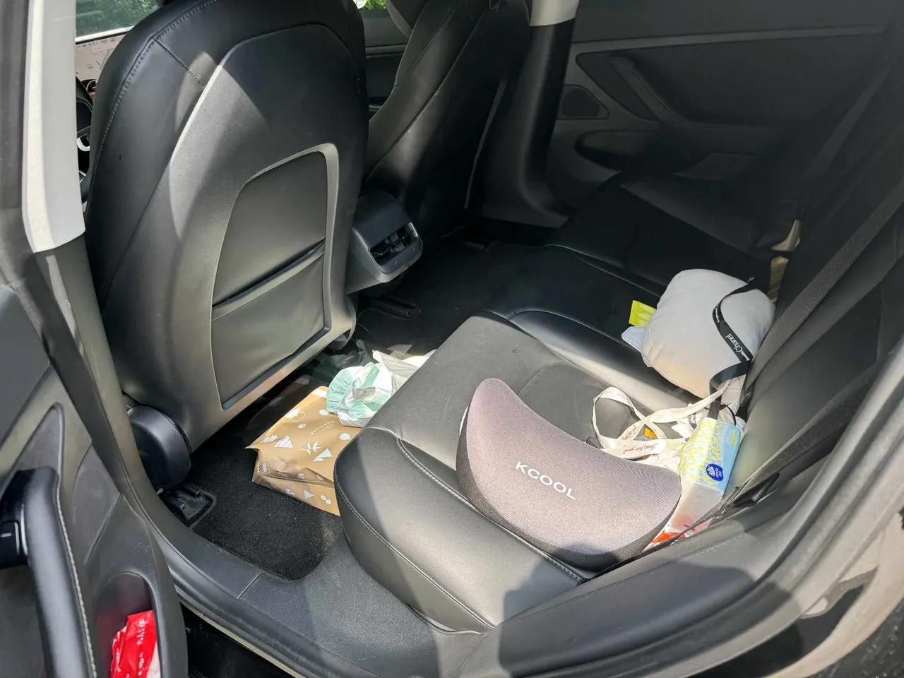 Tesla 2020 Model 3 Standard Endurance Rear Drive Upgraded Automatic Gear 6