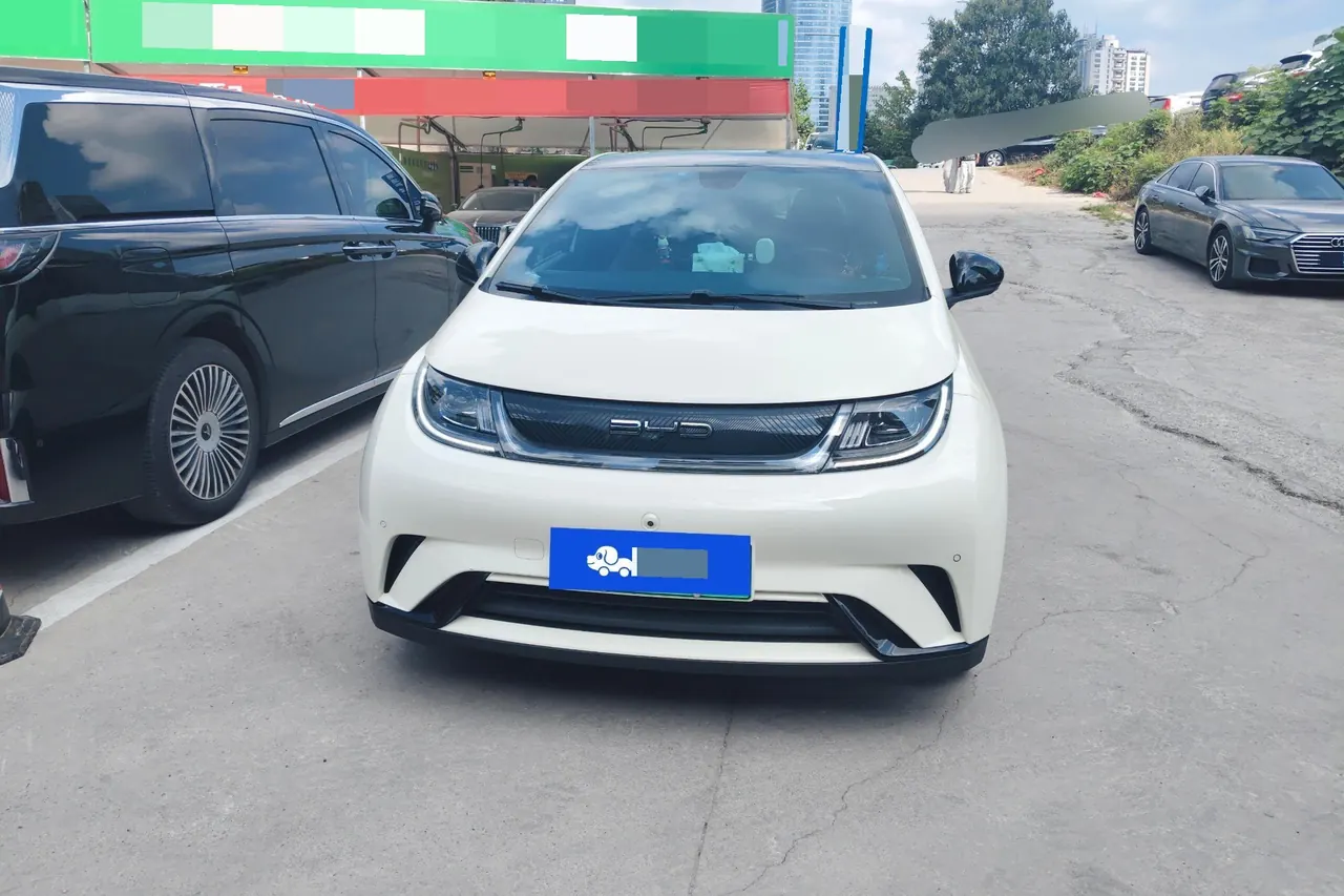 BYD 2023 Dolphin 420km Fashion Edition Automatic 2