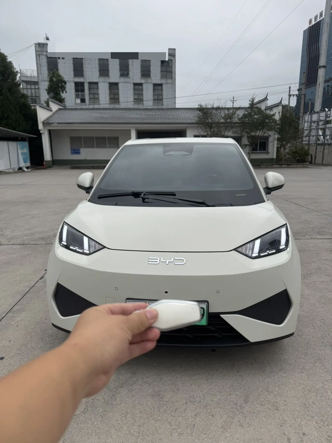 BYD 2026 seagulls 305km free version automatic gear 2