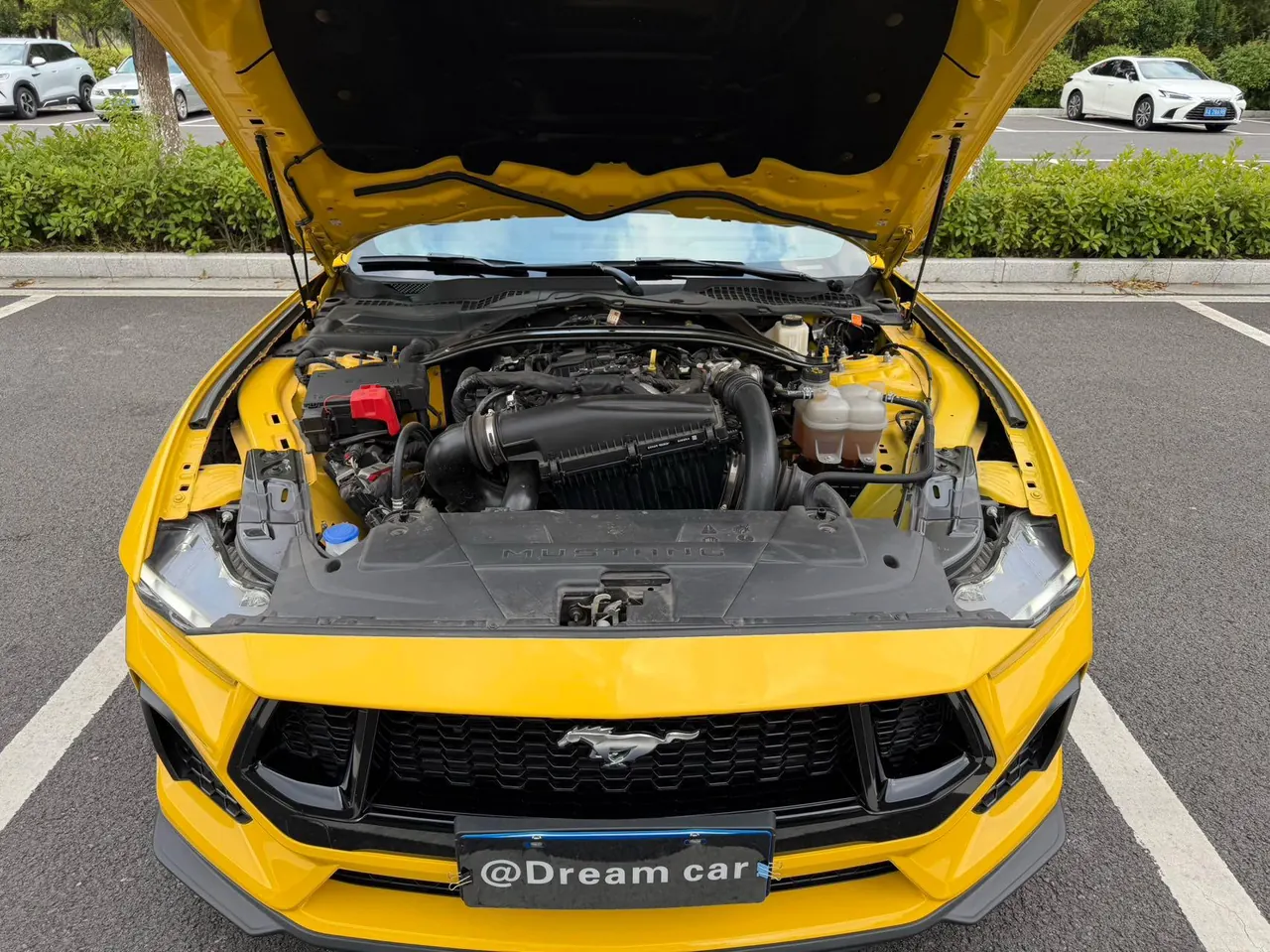 Ford Yema (Imported) 2024 Yema Convertible 2.3T EcoBoost Sports Edition Automatic 11