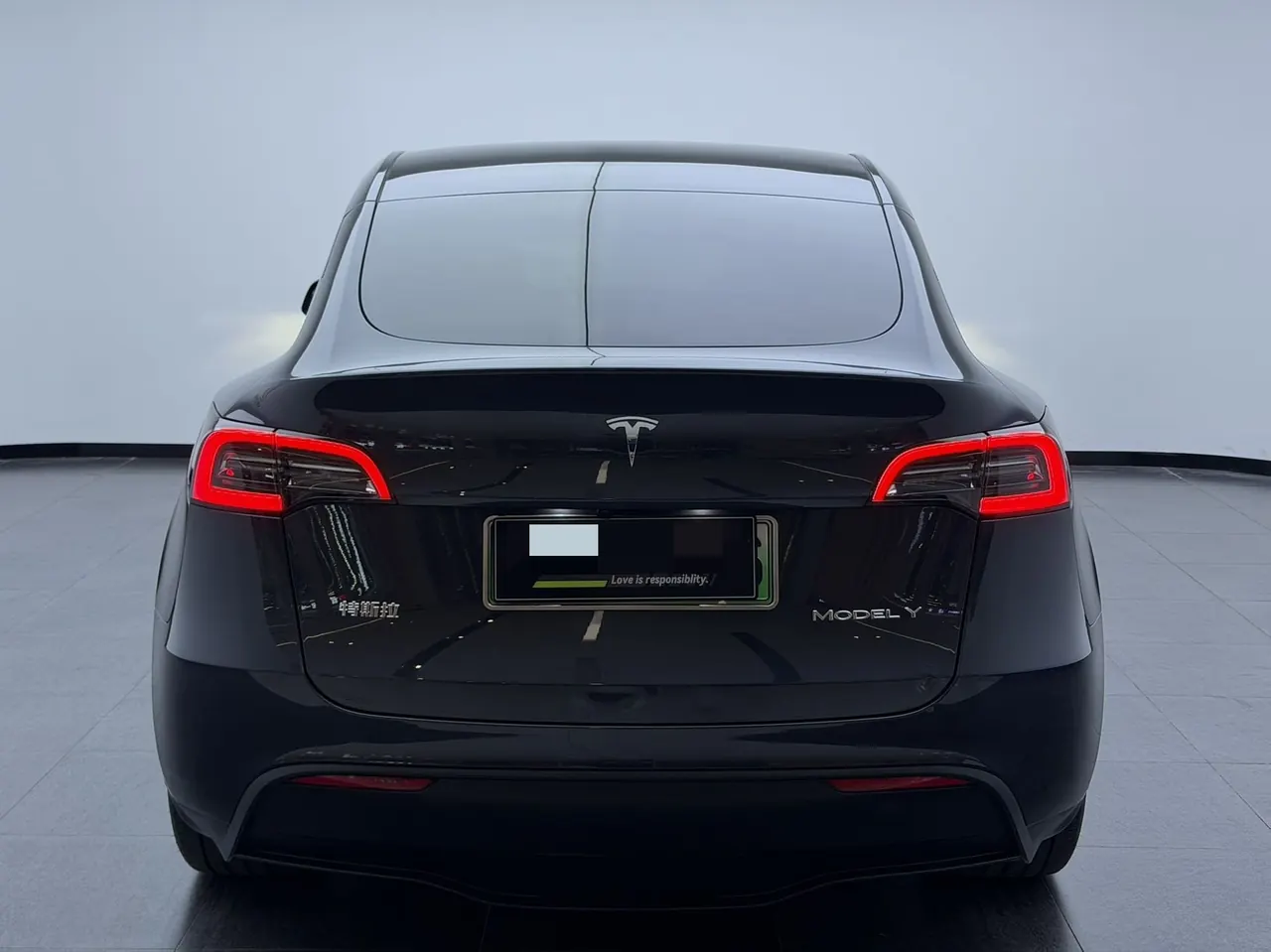 Tesla 2024 Model Y rear-wheel drive version automatic transmission 8