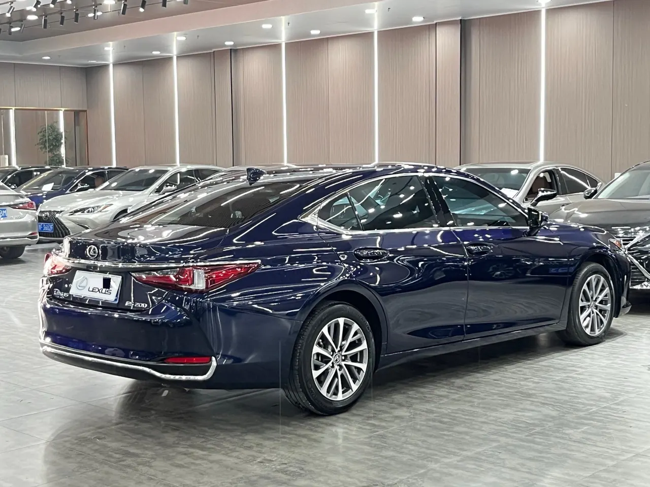 Lexus ES (Imported) 2023 ES200 2.0 Stepless Premium Edition Automatic Gear 9
