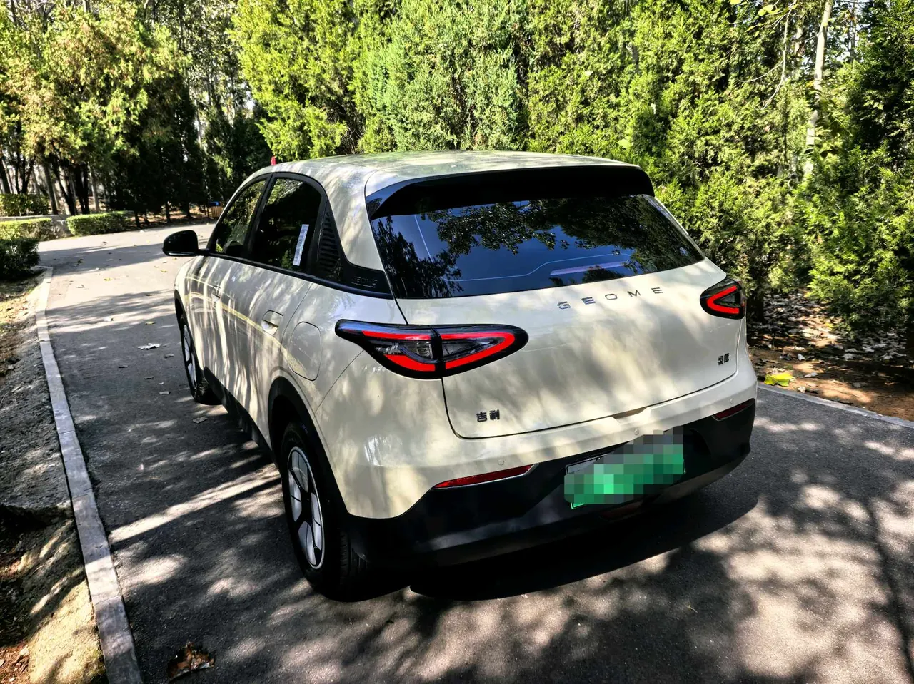 Geely 2025 Star Wish 310km Youth Edition Automatic Gear 7