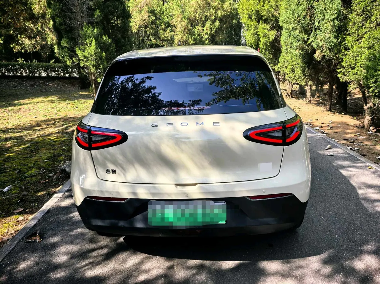 Geely 2025 Star Wish 310km Youth Edition Automatic Gear 8