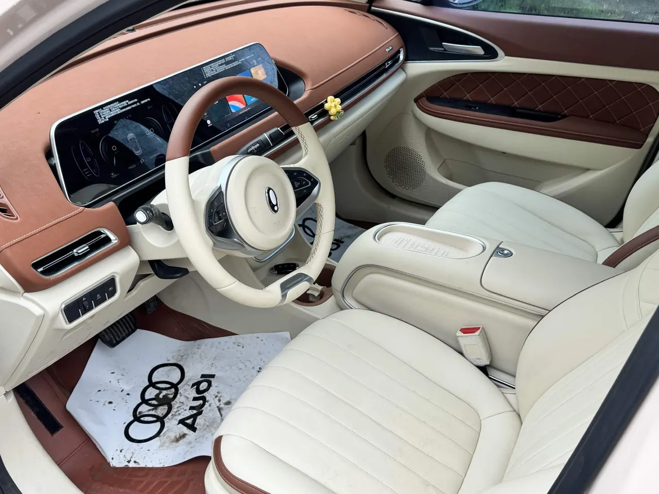 Ora 2023 Good Cat 401km Standard Endurance Luxury Lithium Iron Phosphate Automatic Gear 4