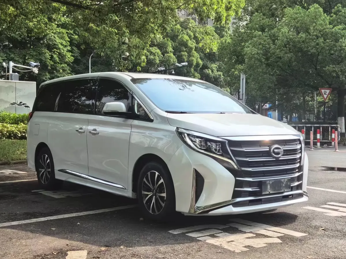 Chuanqi 2021 M8 2.0T 390T Lingxiu Series Deluxe Edition Automatic Gear 2