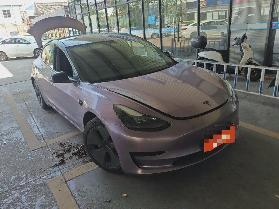 Tesla 2021 Model 3 Standard Endurance Rear Drive Upgraded Automatic Gear 2